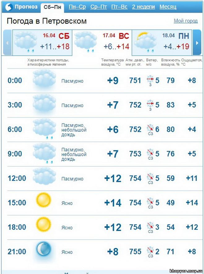 Погода петровск ярославский на неделю. Погода Петровское. Почасовой прогноз погоды. Погода Петровский район. Почасовой прогноз.